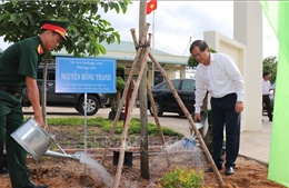 Trồng cây nhớ ơn Bác Hồ, tri ân các anh hùng dân tộc