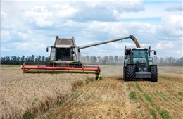 EU đạt thỏa thuận thương mại nông sản mới với Ukraine