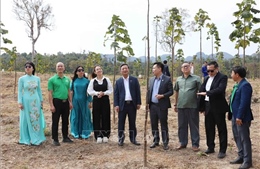 Thêm cơ hội cho doanh nghiệp Việt Nam đầu tư tại Lào