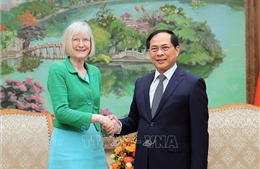 Phó Thủ tướng, Bộ trưởng Ngoại giao Bùi Thanh Sơn tiếp Đại sứ Australia Gillian Bird
