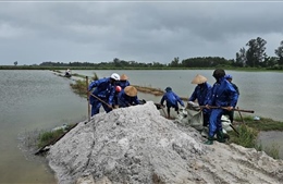 Bão số 1: Quảng Trị lũ các sông đang lên, gần 14.300 ha lúa bị ngập úng