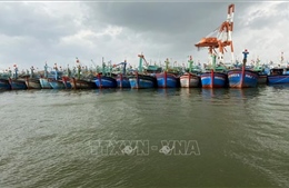 Bình Định kêu gọi 40 tàu cá trong vùng nguy hiểm của áp thấp nhiệt đới tìm nơi tránh trú an toàn