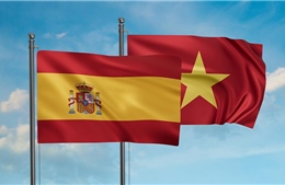 Lập Phân ban Việt Nam trong Ủy ban hỗn hợp Việt Nam - Tây Ban Nha