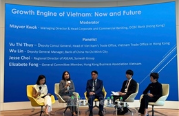 Việt Nam - Động lực tăng trưởng tiếp theo trong ASEAN
