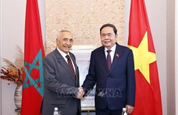 Chủ tịch Quốc hội Trần Thanh Mẫn tiếp Chủ tịch Hội hữu nghị Maroc - Việt Nam
