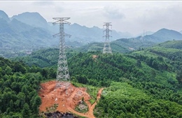 Đường dây 500kV Lào Cai – Vĩnh Yên: Hoàn thành kéo dây những khoảng néo đầu tiên
