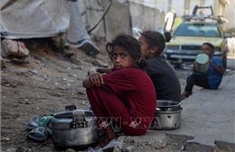 EU sẽ xem xét mọi biện pháp cải thiện viện trợ nhân đạo cho Gaza