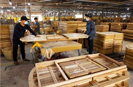 Gỗ và sản phẩm gỗ vào top 5 nhóm hàng xuất siêu nông nghiệp