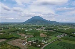 Thực hiện &#39;4 đẩy mạnh&#39;, &#39;3 tiên phong&#39; để đạt mục tiêu nông nghiệp sinh thái, nông thôn hiện đại