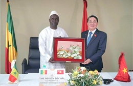 Phó Chủ tịch Quốc hội Nguyễn Đức Hải làm việc với Chủ tịch Tòa Thẩm kế Senegal