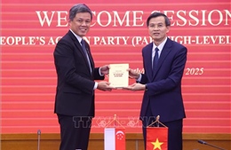 Nâng tầm hợp tác giáo dục, đào tạo và phát triển nguồn nhân lực chất lượng cao giữa Việt Nam - Singapore
