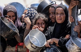 EU, Anh và Nhật Bản kêu gọi khẩn cấp ngăn nạn đói tại Gaza