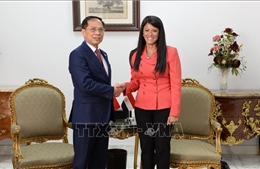 Tăng cường hợp tác kinh tế, thương mại và đầu tư giữa Việt Nam và Ai Cập 