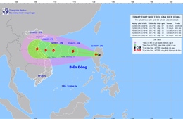 Áp thấp nhiệt đới di chuyển theo hướng Tây Tây Bắc, gió giật cấp 9