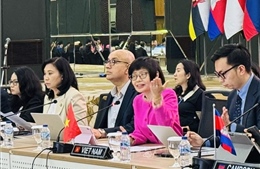 Việt Nam chủ trì cuộc họp Tham vấn lần thứ 15 của Nhóm Đặc trách IAI với các đối tác của ASEAN