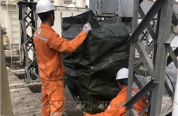 Tổng công ty Điện lực miền Bắc khắc phục lưới điện sau bão số 5
