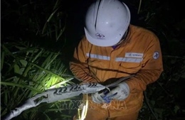 Hệ thống truyền tải điện quốc gia được đảm bảo an toàn sau bão số 5
