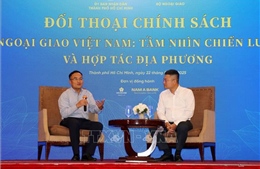 Ngoại giao Việt Nam từ tầm nhìn chiến lược và hợp tác địa phương