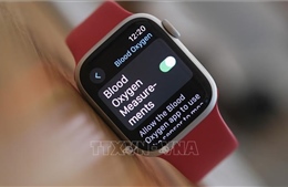 Cơ quan Hải quan Mỹ gặp rắc rối vì cho phép nhập khẩu Apple Watch