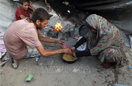 WHO cảnh báo trật tự xã hội tại Dải Gaza đang sụp đổ