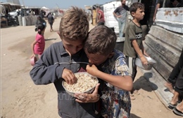 Xung đột Hamas – Israel: OCHA nêu bật tình cảnh khó khăn của trẻ em ở Gaza