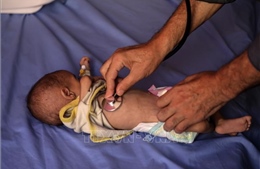 Khởi động việc đưa trẻ ở Gaza đến Anh điều trị y tế