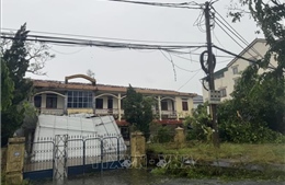Cơ bản khắc phục sự cố trên đường dây 500 kV và 220 kV tại Nghệ An và Hà Tĩnh