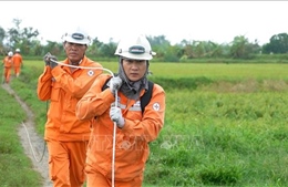 Đã khôi phục điện cho gần 80,5% khách hàng sau bão số 5