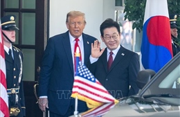 Đối tác định hình cuộc chơi