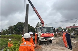 Nghệ An sớm cấp lại điện và xử lý cây xanh bị đổ gãy sau bão số 5