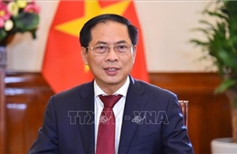 Chặng đường 80 năm vẻ vang của nền ngoại giao Việt Nam vì sự nghiệp đấu tranh, bảo vệ và xây dựng đất nước