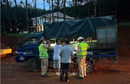 Lâm Đồng ngăn chặn một vụ vận chuyển lợn nghi nhiễm bệnh dịch tả châu Phi