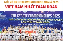 Việt Nam nhất toàn đoàn tại Giải vô địch Taekwondo Đông Nam Á 2025