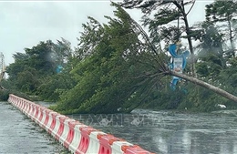 Thanh Hóa: Kịp thời giải cứu người dân khỏi những điểm ngập lụt