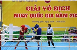Khai mạc Giải vô địch Muay quốc gia năm 2025