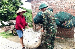 Lực lượng vũ trang Quảng Trị hỗ trợ nhân dân ứng phó mưa, bão số 10