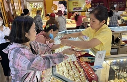 Thủ tướng Chính phủ yêu cầu báo cáo tình hình, giải pháp quản lý thị trường tiền tệ, vàng, chứng khoán