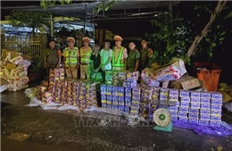 Thu giữ hơn nửa tấn pháo hoa nổ các loại tại Đồng Nai