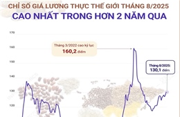 Giá lương thực thế giới tháng 8/2025 cao nhất trong hơn 2 năm qua