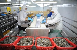 Tăng cường truy xuất nguồn gốc, bảo đảm chất lượng nông, lâm, thủy sản xuất khẩu