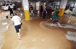Hàn Quốc tuyên bố hai vùng thiên tai đặc biệt sau mưa lớn