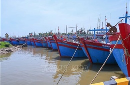 Các địa phương từ Ninh Bình đến Huế cấp bách ứng phó bão số 10