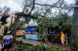 Philippines: Gia tăng số người thiệt mạng do bão Bualoi