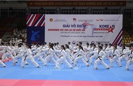 Khai mạc Giải vô địch Taekwondo các câu lạc bộ quốc gia - Cúp Đại sứ Hàn Quốc năm 2025