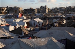 Cộng đồng quốc tế kêu gọi hướng đến hòa bình lâu dài tại Gaza