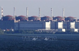 IAEA: Nguồn điện cho nhà máy hạt nhân Zaporizhzhia đã được khôi phục