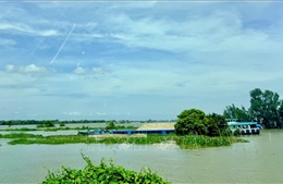 Lũ trên sông Hậu xuống trong vài ngày tới