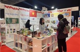 Cơ hội để doanh nghiệp Việt Nam xâm nhập thị trường bao bì của Anh