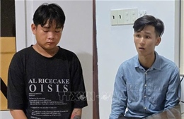 Bắt 2 đối tượng cướp giật làm cặp vợ chồng ngã xe trọng thương