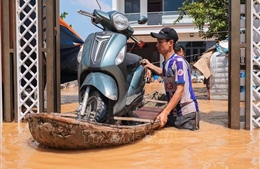Hà Nội khẩn trương khắc phục sự cố nước tràn mặt đê hữu Cầu ở xã Đa Phúc